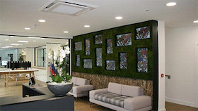eizo corporate office video wall