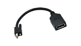 Mini DisplayPort to DisplayPort adapter