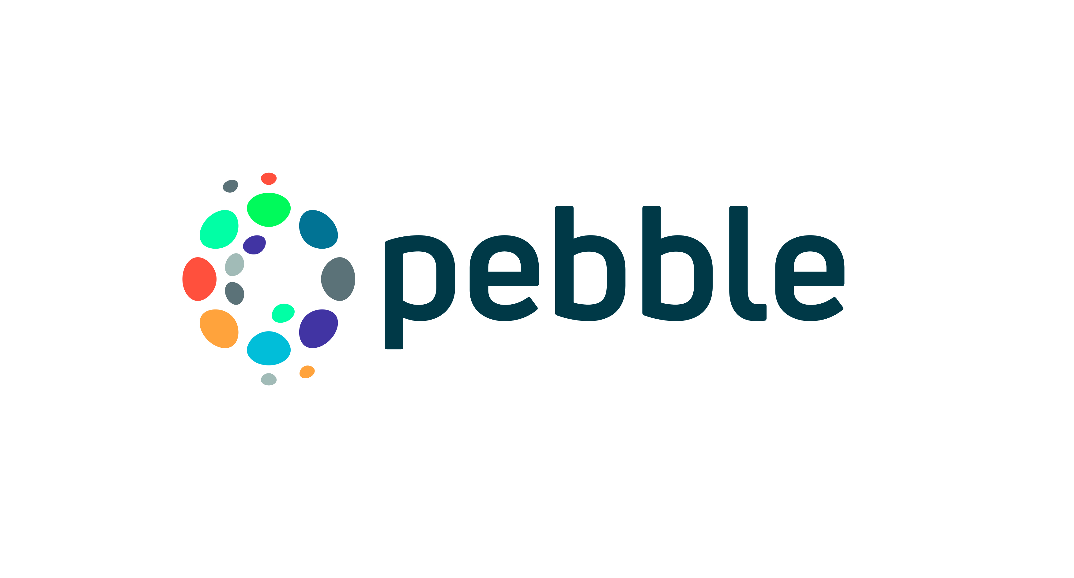 PEBBLE-FullColourPositive-300dpi(CMYK)