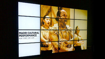 Auckland Museum Leverages Matrox M-Series Graphics Cards