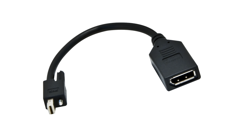 Mini DisplayPort to DisplayPort Adapter