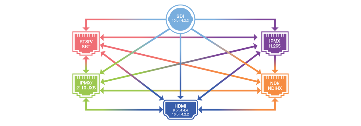 Vion Diagram