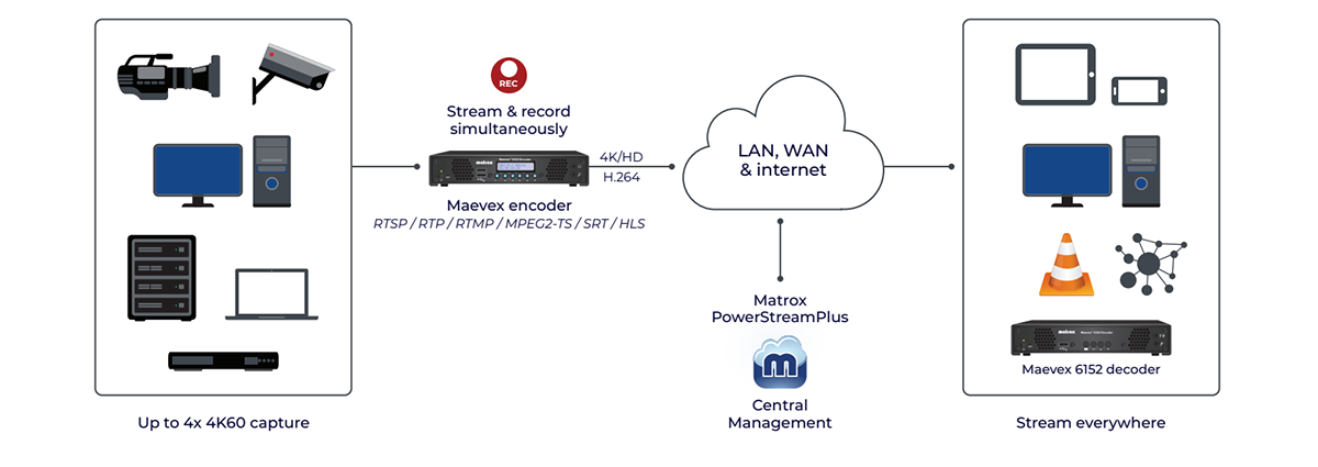 Maevex 6152D Workflow
