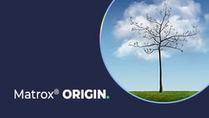 Matrox ORIGIN tree